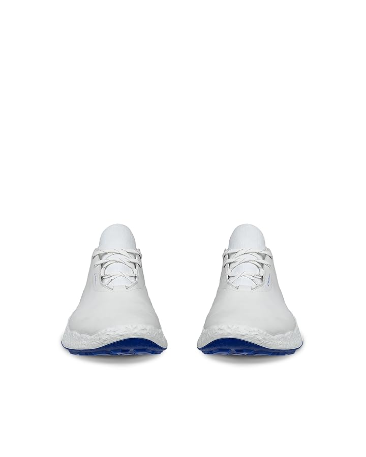 ￼Ecco Golf Biom H5 Hybrid ウォータープルーフゴルフ￼ ECCO Golf BIOM H5 Hybrid Men メンズ レザーウォータープルーフ